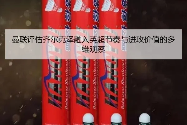 曼联评估齐尔克泽融入英超节奏与进攻价值的多维观察